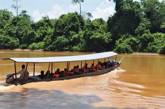 Barco + Minivan de Taman Negara a Cameron Highlands