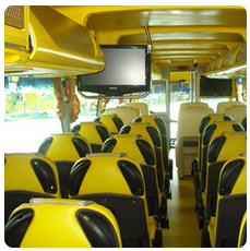 Yellow Bus Express dalam foto