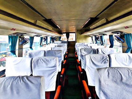Greyhound Super VIP Deluxe didalam foto