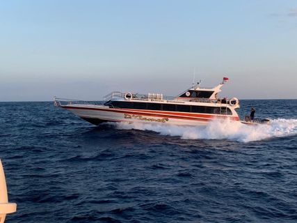 Dcamel Fast Ferry Speedboat foto externa