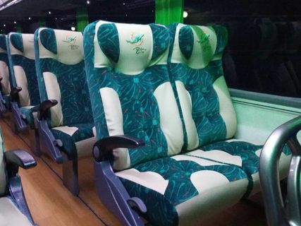 Dolphins Autobuses Express 내부 사진