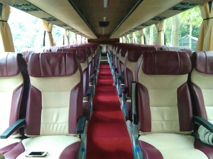 Honey Tours and Travels AC Seater Фото внутри