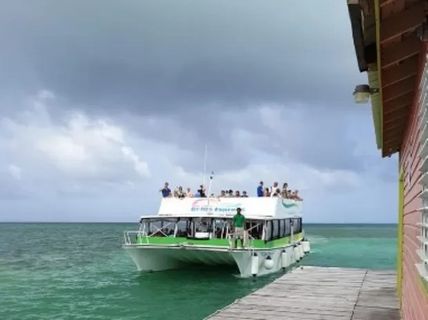 Adrenalina Tours Minivan + Ferry تصویر درون