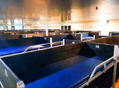 Aleson Shipping Lines Economy Class inside photo