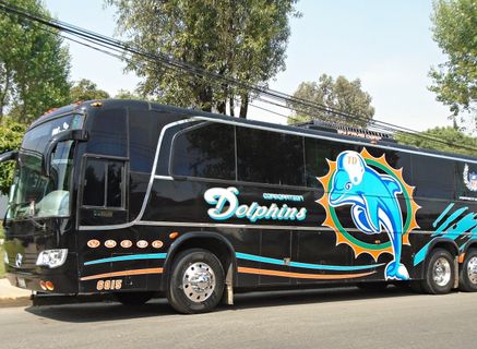 Dolphins Autobuses Express outside photo
