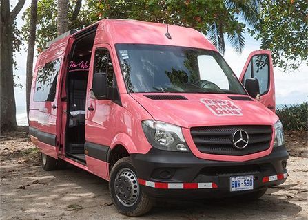 My Pink Bus Minivan Aussenfoto