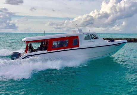 Dream Speed Speedboat عکس از خارج