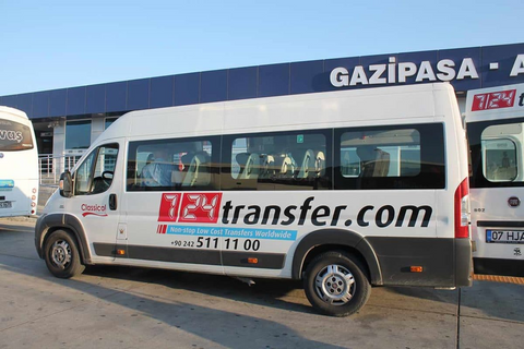 724 Transfer Minibus 13pax عکس از خارج