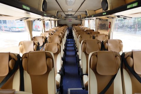 GreenBus Express Innenraum-Foto