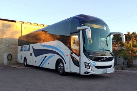 Autobuses Aguila Economy Class عکس از خارج