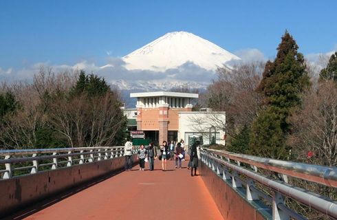 Mount Fuji 1 Day Bus Tour Fuji Day Trip (no lunch) Inomhusfoto