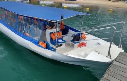 Easy Transfer Brazil Minivan + Ferry تصویر درون
