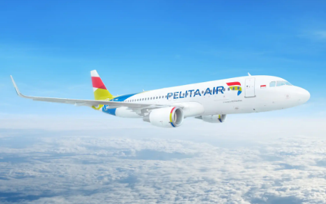 Pelita Air Economy خارج الصورة