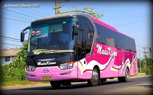 Bus Madu Kismo Cabang Denpasar Express Фото снаружи