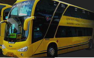 Yellow Bus VIP 24 外観