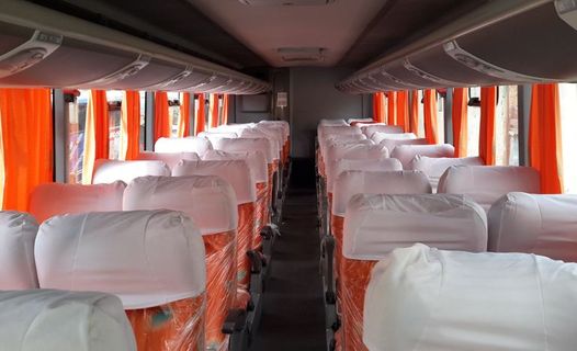 Trans Titicaca Reclining Seats 165 Innenraum-Foto