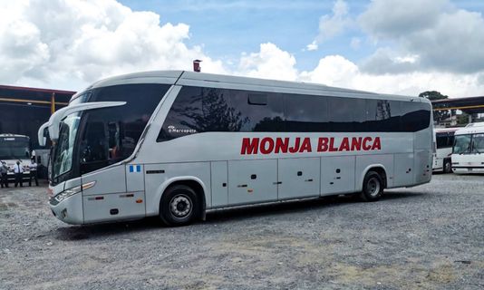 Monja Blanca Standard AC عکس از خارج