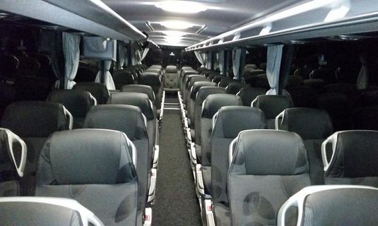 Daniel Cupa Bus Trans Standard AC Innenraum-Foto