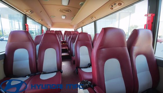 Techbus VN JSC Seats 36  fotografía interior