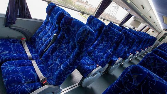 ACN Autobuses Comfort İçeri Fotoğrafı