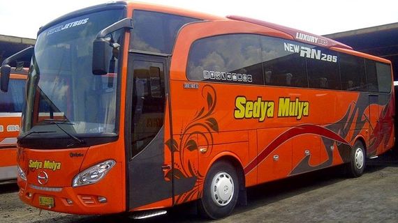 Bus Sedya Mulya Cab Denpasar Express foto esterna